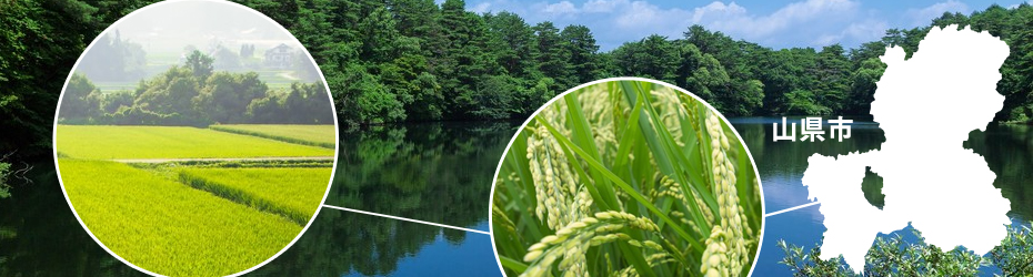 山県市の魅力