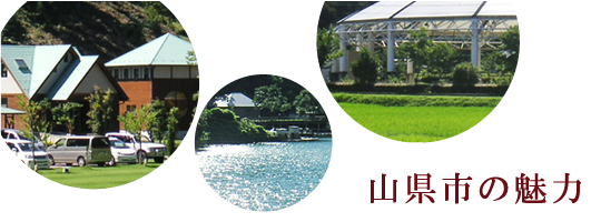 山県市の魅力